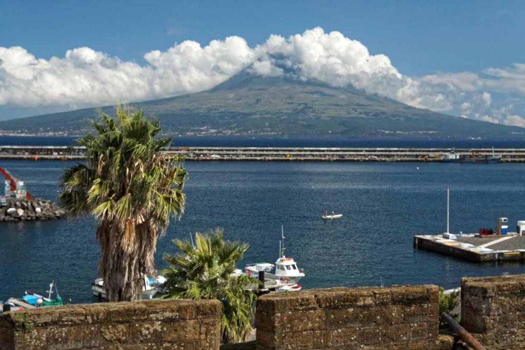 Faial Marina Apartments 1 Horta  Eksteriør billede